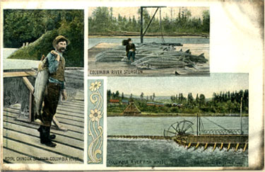 An example of one of the postcards.