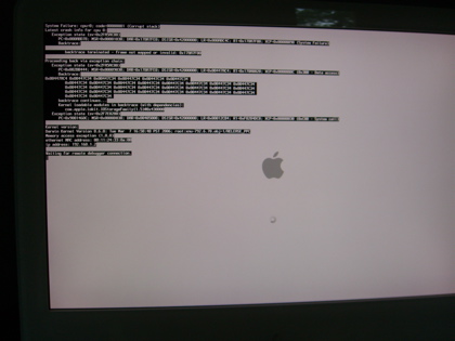 Gray Screen of Death
